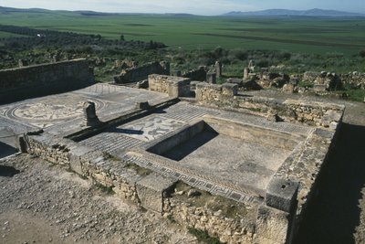 Pavement of a Patrician House by Roman